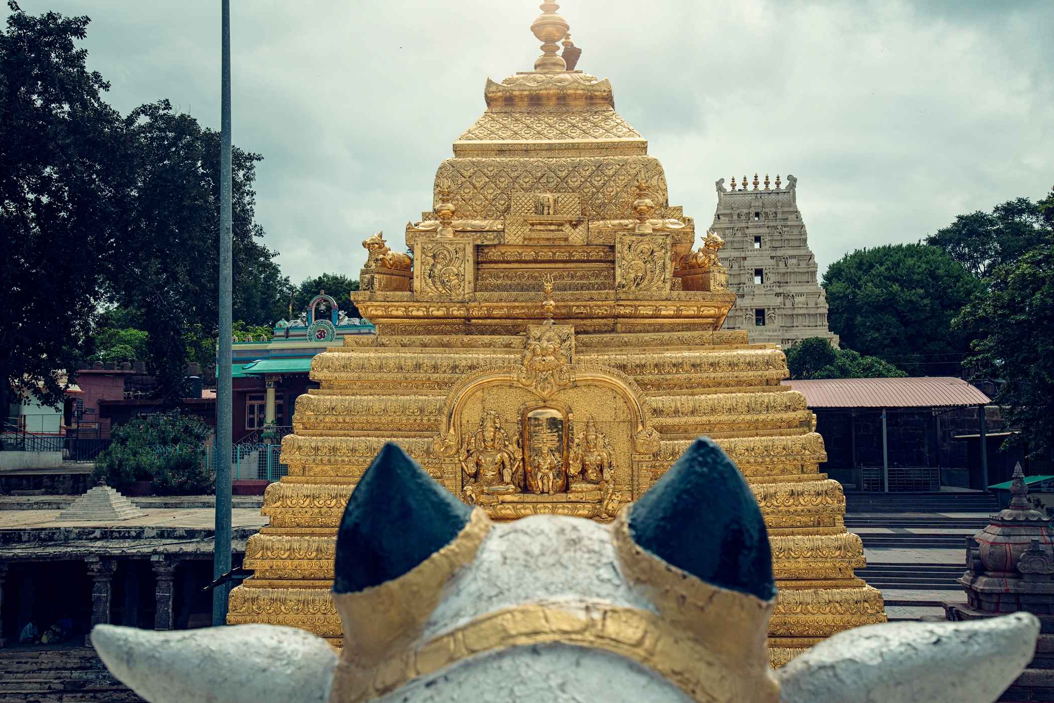 Mallikarjuna Jyotirlinga - Srisailam, Andhra Pradesh